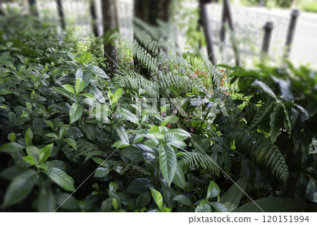 Cabin interior of high ceiling Cabin interior of high ceiling 120151994