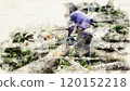A worker using a chainsaw to cut tree branches on the ground, preparing them for processing. This image highlights the importance of sustainable forestry practices and conserving natural resources. 120152218