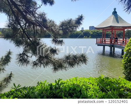 <Fukuoka Prefecture> Japan Pine Scenery Park Ohori Park 120152401