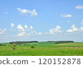 Peacefull Ukrainian rural landscape with green fields 120152878