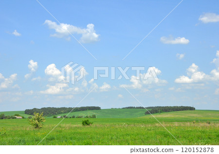 Peacefull Ukrainian rural landscape with green fields 120152878