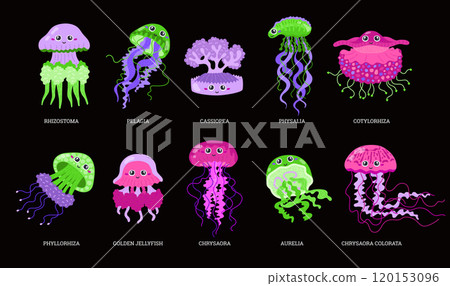 Cute jellyfish vector illustration set 120153096