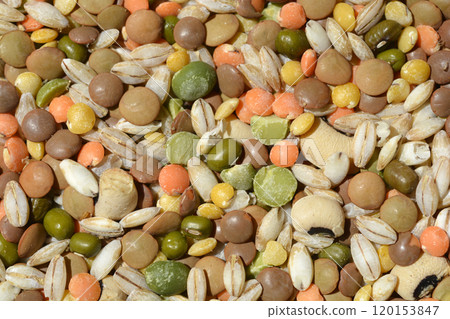 Dry uncooked grains and legumes Dry uncooked grains and legumes 120153847