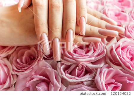 Elegant hands showcasing ombre manicured nails surrounded by fresh pink roses 120154022