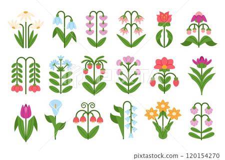 Abstract flowers. Symmetrical floral doodles, spring snowdrop, daisies, tulips and bluebells plants with flower and leaves. Botanical decorations vector illustrations set Abstract flowers. Symmetrical floral doodles, spring snowdrop, daisies, tulips and bluebells plants with flower and leaves. Botanical decorations vector illustrations set 120154270