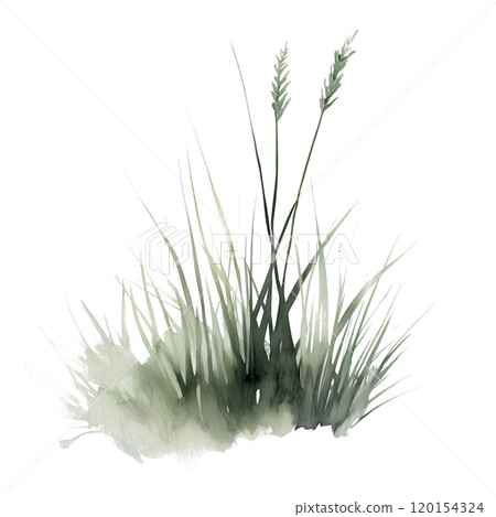 Watercolor illustration of grass blades on a transparent background. Perfect for natural design projects, eco-themed artwork, botanical illustrations, and minimalist nature-inspired compositions. 120154324