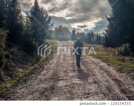 Solitary Hiker Walking Through Scenic Forest Trail in Autumn 120154355