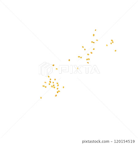 Fenugreek Seeds Isolated, Dry Trigonella, Spicy Methi Dana Grains, Indian Kitchen Seasoning Ingredient 120154519