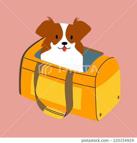 The dog is sitting in the bag. Traveling with a pet. The dog is sitting in the bag. Traveling with a pet. 120154929