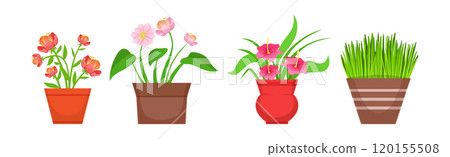 Blooming Flower Bouquet and Floral Bunch Vector Set 120155508