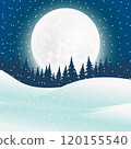 Winter forest landscape with full big moon at night 120155540