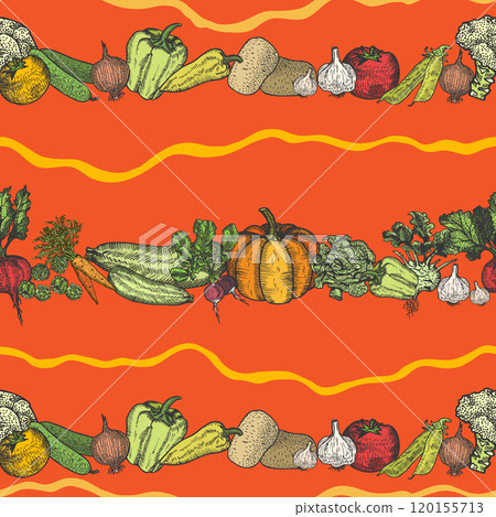 Hand Drawing of organic vegetables for Thanksgiving Day. Design template. Vector Hand Drawing of organic vegetables for Thanksgiving Day. Design template. Vector 120155713