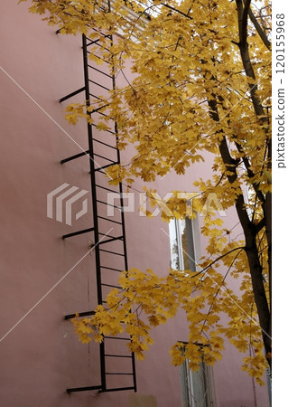 vertical antique fire escape made of black metal, attached to wall of old brick pink house. 120155968