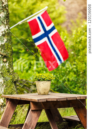 norwegian flag and green picnic site norwegian flag and green picnic site 120156008