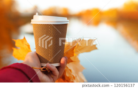 brown cup of coffee with yellow autumn maple leaves in woman's palm on yellow autumn in park, copy space 120156137
