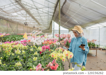 A woman is savoring the beauty of flowers in a greenhouse while using her smartphone 120156262