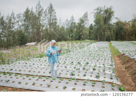 A Woman Who is Enjoying a Very Productive Day on a Beautiful Farm Landscape A Woman Who is Enjoying a Very Productive Day on a Beautiful Farm Landscape 120156277