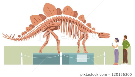 Museum of Paleontology with dinosaur skeleton Museum of Paleontology with dinosaur skeleton 120156300