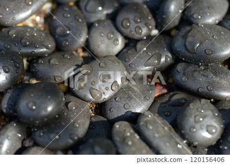 Pebbles Water droplets 120156406