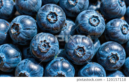 A close-up shot of ripe blueberries, showcasing their deep blue color and natural texture 120157118