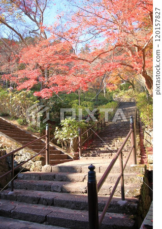 Hasedera Temple, a temple in Nara Prefecture with beautiful autumn leaves Hasedera Temple, a temple in Nara Prefecture with beautiful autumn leaves 120157827