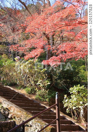 Hasedera Temple, a temple in Nara Prefecture with beautiful autumn leaves Hasedera Temple, a temple in Nara Prefecture with beautiful autumn leaves 120157828