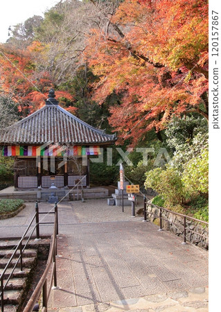 長谷寺,奈良縣的一座秋葉寺廟 長谷寺,奈良縣的一座秋葉寺廟 120157867