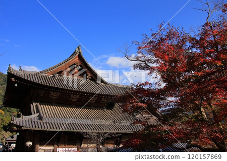 長谷寺,奈良縣的一座秋葉寺廟 長谷寺,奈良縣的一座秋葉寺廟 120157869