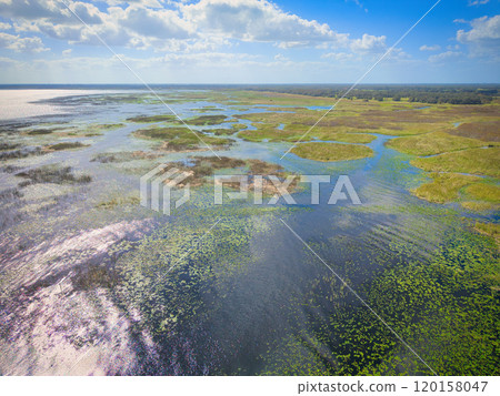 Lush Wetland Scenery of Florida with Patches of Water and Greenery 120158047