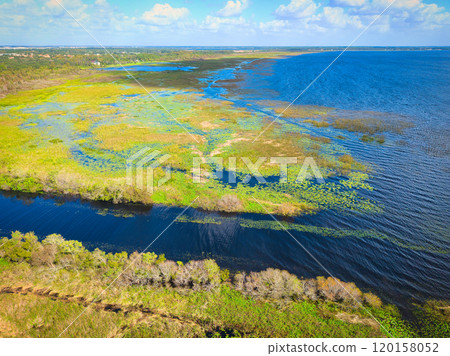 Lush Wetland Scenery of Florida with Patches of Water and Greenery 120158052
