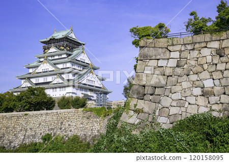 Osaka Castle Tower (Osaka City, Osaka Prefecture) 120158095