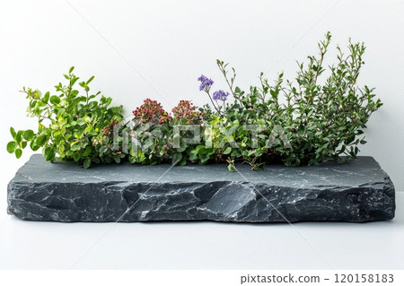 simple slate stone tombstone presents empty plaque reflecting sustainability. dark gray hues and natural textures highlight minimalism and environmental consciousness. 120158183