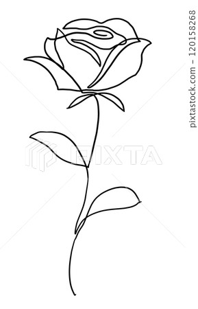 A single rose drawn in one stroke - Line drawing A single rose drawn in one stroke - Line drawing 120158268
