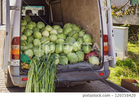 Fresh cabbages and leeks stacked in an open van parked at local market 120158420