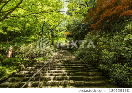 奈良縣宇陀市女 高野室寺 依色坂室 120159188