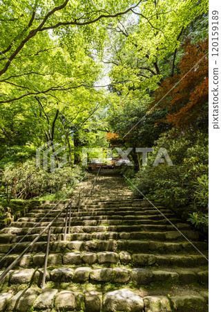 奈良縣宇陀市女 高野室寺 依色坂室 120159189
