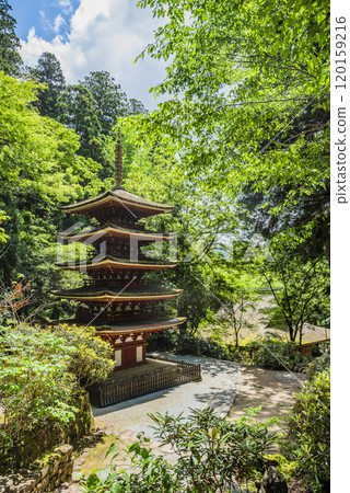 奈良縣宇陀市女高野室生寺五層塔室生 120159216
