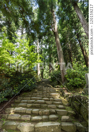 奈良縣宇田市室呂高野市室生寺、奧之院的參道 奈良縣宇田市室呂高野市室生寺、奧之院的參道 120159217