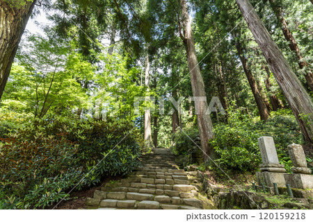 奈良縣宇田市室呂高野市室生寺、奧之院的參道 奈良縣宇田市室呂高野市室生寺、奧之院的參道 120159218
