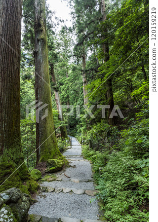 The approach to the Okunoin sanctuary of the Women's Koyasan Muroji Temple, Muro, Uda City, Nara Prefecture The approach to the Okunoin sanctuary of the Women's Koyasan Muroji Temple, Muro, Uda City, Nara Prefecture 120159219
