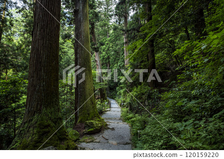 The approach to the Okunoin sanctuary of the Women's Koyasan Muroji Temple, Muro, Uda City, Nara Prefecture The approach to the Okunoin sanctuary of the Women's Koyasan Muroji Temple, Muro, Uda City, Nara Prefecture 120159220