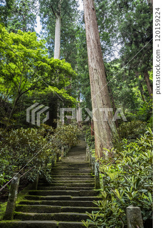 The approach to the Okunoin sanctuary of the Women's Koyasan Muroji Temple, Muro, Uda City, Nara Prefecture 120159224