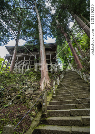女 高野室寺 奈良縣宇陀市 奧之院淨堂 (Ipaido) 室 120159229