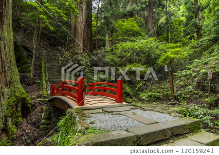 The approach to the Okunoin sanctuary of the Women's Koyasan Muroji Temple, Muro, Uda City, Nara Prefecture 120159241