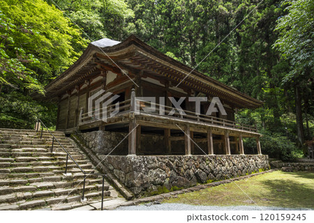 Kondo of the Women's Koyasan Muroji Temple, Muro, Uda City, Nara Prefecture 120159245
