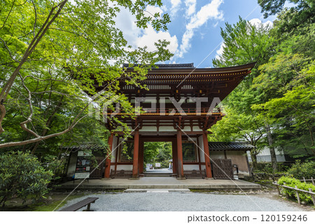 Niomon Gate of the Women's Koyasan Muroji Temple, Muro, Uda City, Nara Prefecture 120159246