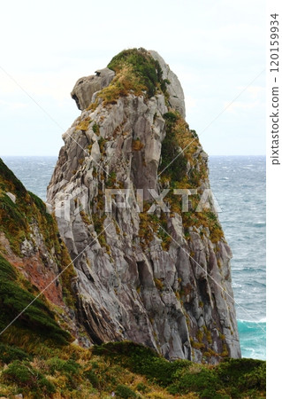 Saruiwa on the island of Iki Saruiwa on the island of Iki 120159934