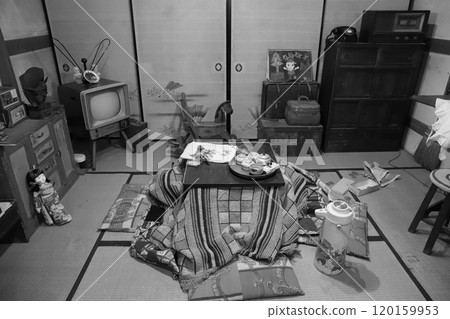 Life in the 1950s 120159953