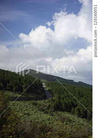 夏季西天城高原線 夏季西天城高原線 120160051