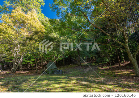 京都府宇治市天瀨森林公園的秋景 120160146